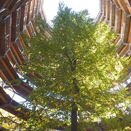 Mit Exklusiver Terrasse Feriehus